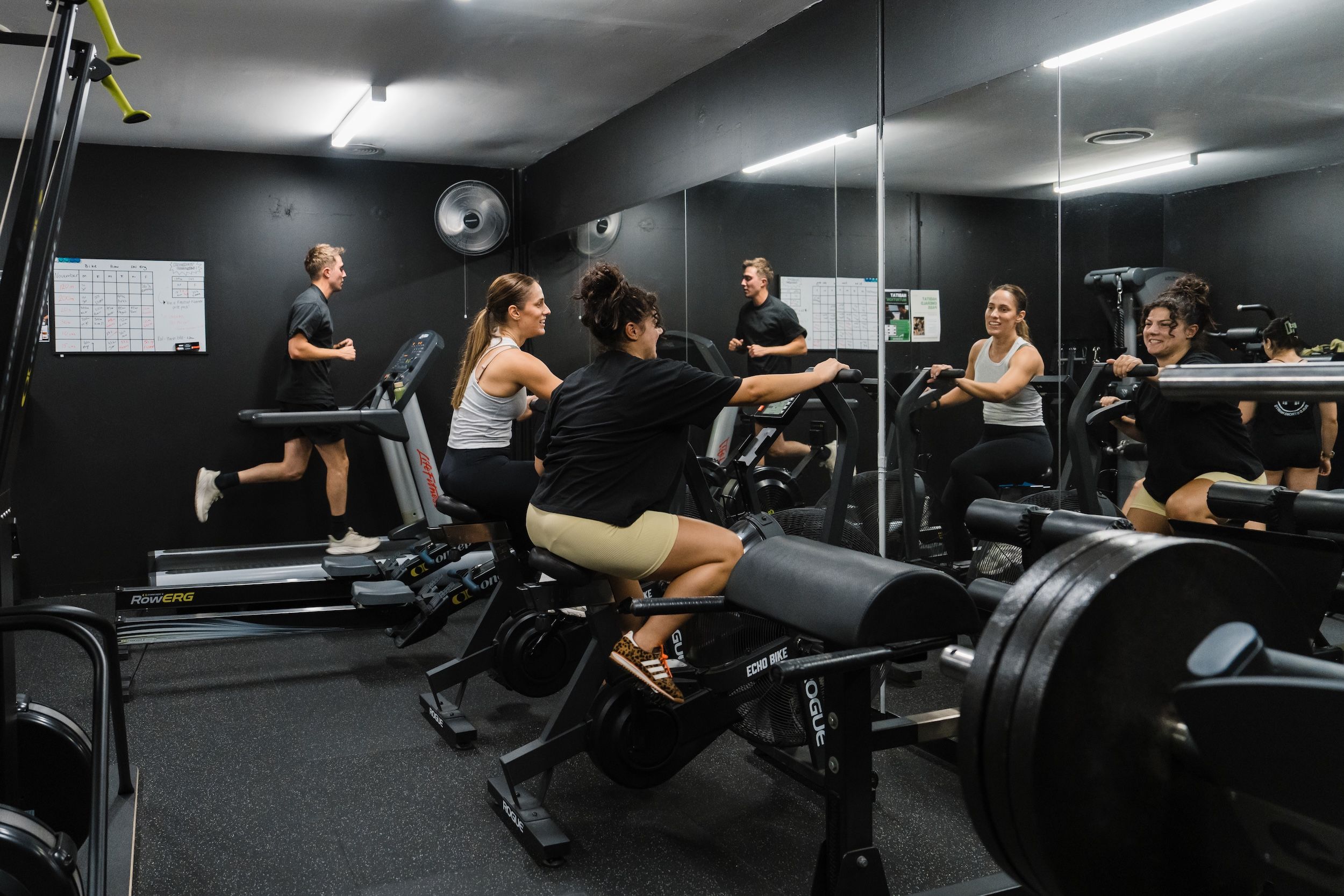 Clients training together on treadmill and Rogue Echo bikes in Habitat Gym's Cardio Corner