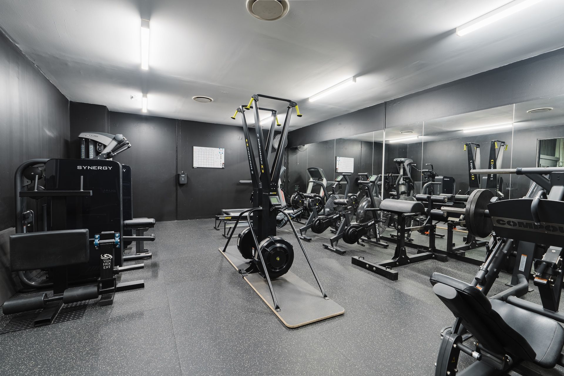 Cardio zone with SkiErg, rowers, and strength machines at Habitat Gym