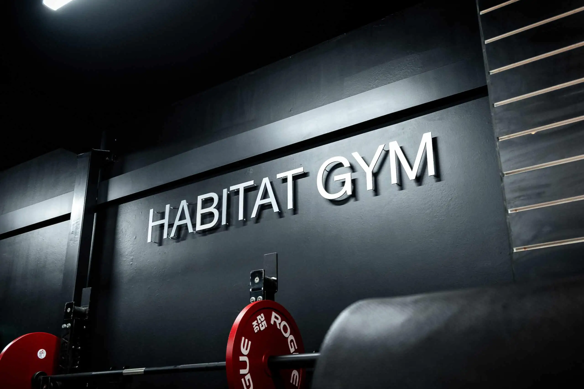 Habitat Gym wall signage positioned over barbell station inside training zone